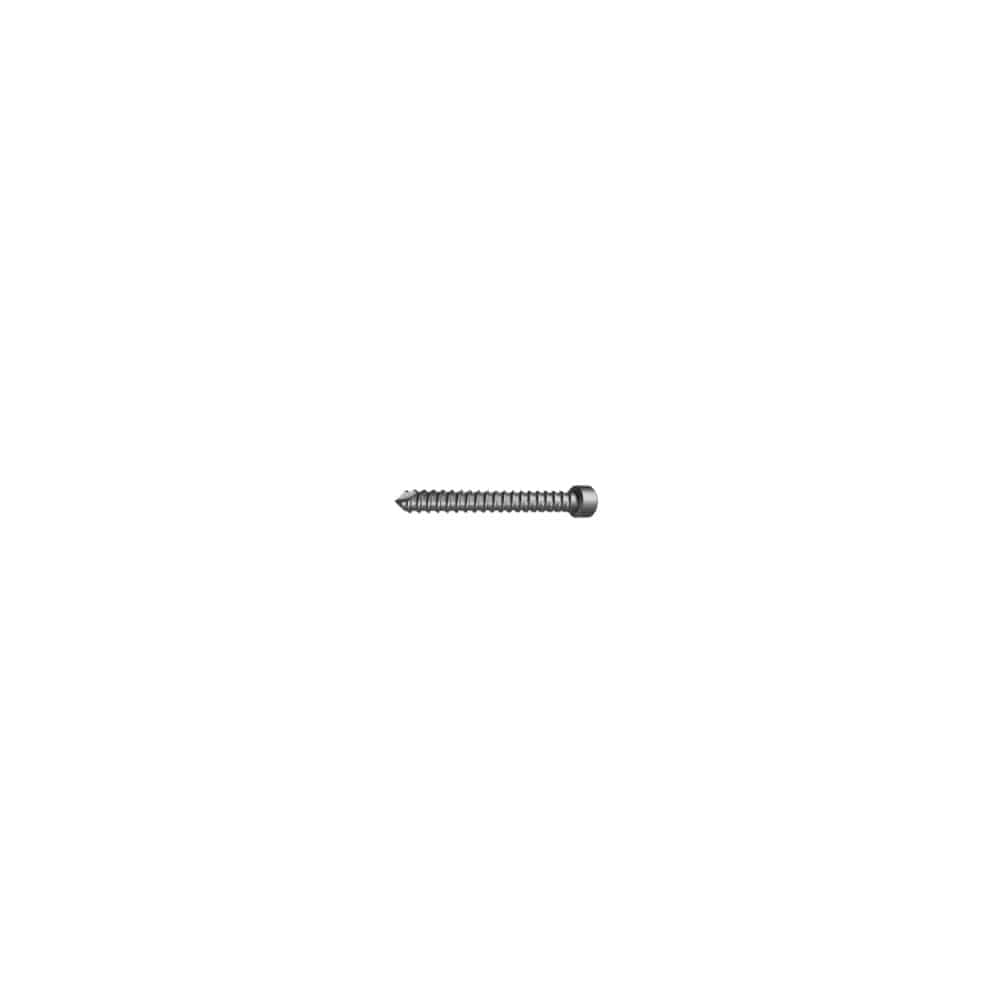 ANTI-ROTATION INTRAMEDULLARY NAIL LOCKING SCREW AROCOM PROXIMAL FEMUR ORTIMPLANT