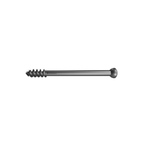 CANCELLOUS SCREW 16 MM THREADED 6,5 MM ORTIMPLANT