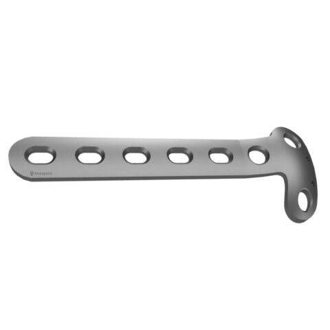 L-BUTTRESS PLATE ORTIMPLANT