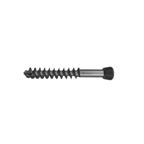 LOCKING CANCELLOUS SCREW 32 MM THERADED 6,5 MM ORTIMPLANT