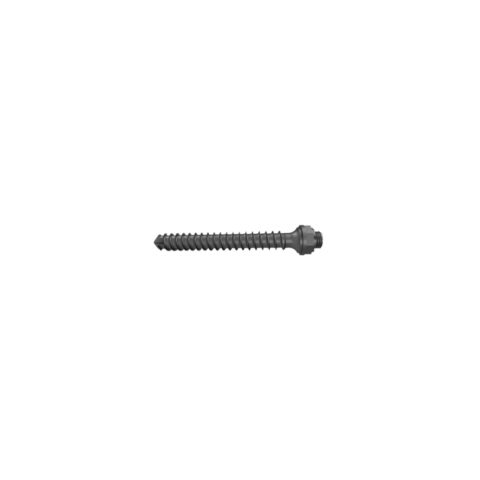 THORACIC AND LUMBAR ANTERIOR PLATE BOLT ORTIMPLANT